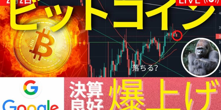 1643791183_maxresdefault-8415729-4267166-jpg