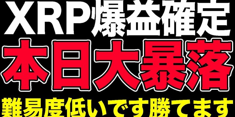 1643820043_maxresdefault-4272335-5971259-jpg