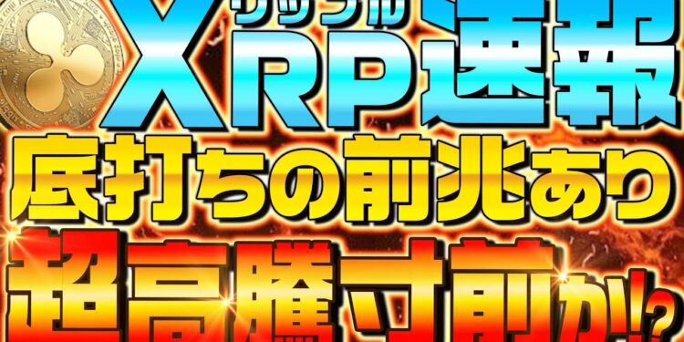 1643906664_maxresdefault-2953436-6744865-jpg