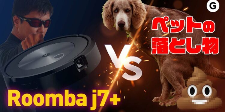 1644411471_maxresdefault-1063803-2440481-jpg