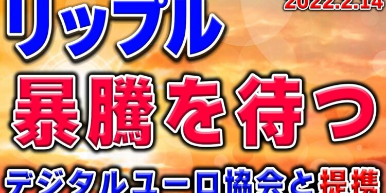 1644861365_maxresdefault-8436327-8600031-jpg