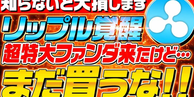 1644890230_maxresdefault-2689243-8388370-jpg