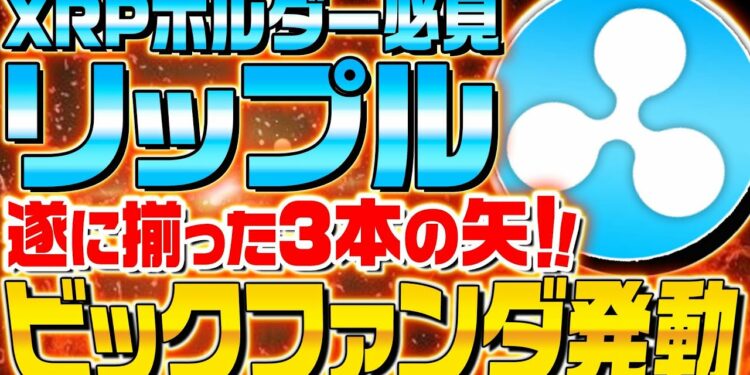 1644976810_maxresdefault-5022959-2098451-jpg