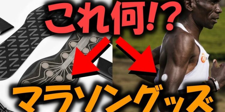 1645126572_maxresdefault-2838705-3557084-jpg