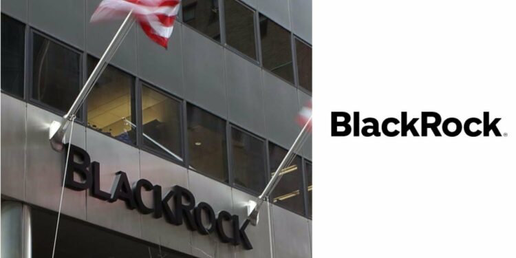 1645439221_maxresdefault-2887773-2873224-jpg