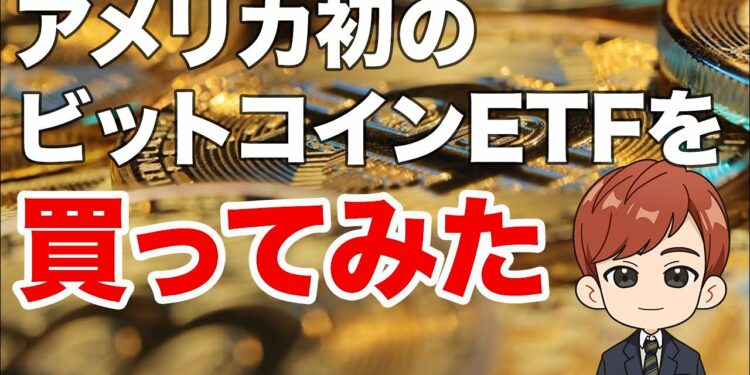 1645496931_maxresdefault-4073265-4224406-jpg