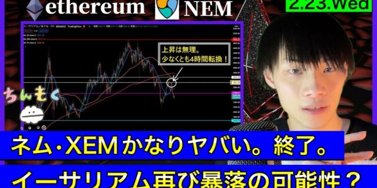 1645641460_maxresdefault-6561668-6920859-jpg