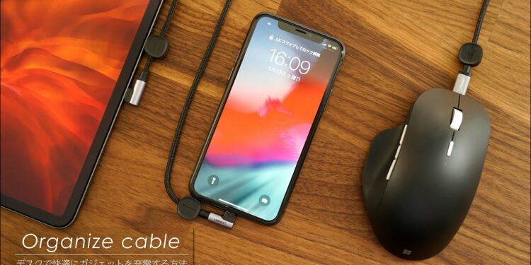 1646003891_maxresdefault-2494705-1858042-jpg