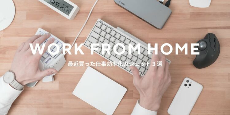 1646588564_maxresdefault-5364336-2169892-jpg