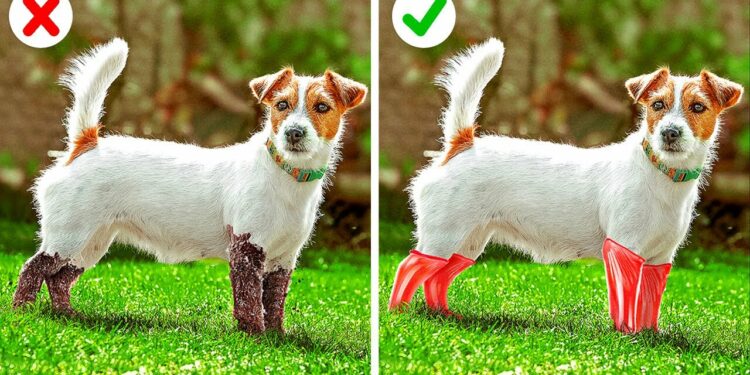 1646848422_maxresdefault-4242604-4866502-jpg