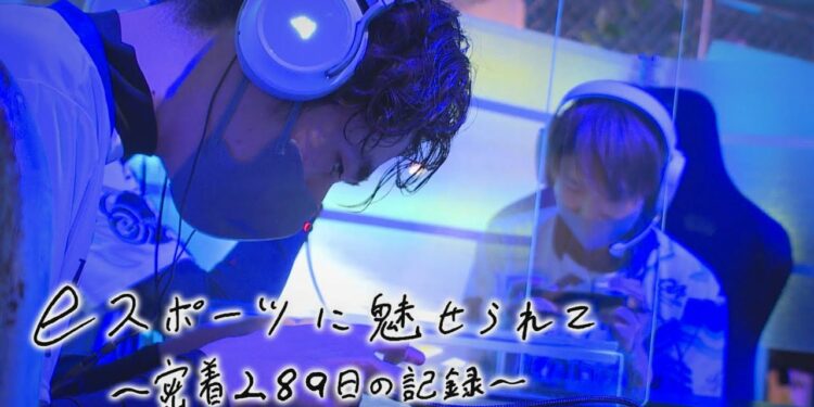 1646969852_maxresdefault-8469275-2496558-jpg