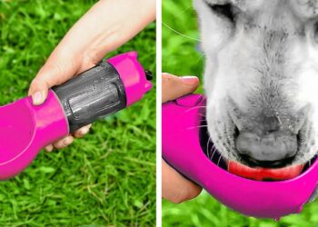 1647302893_maxresdefault-6420368-7308949-jpg