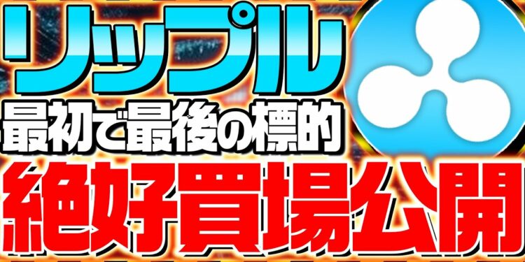 1648153500_maxresdefault-7189899-7278929-jpg