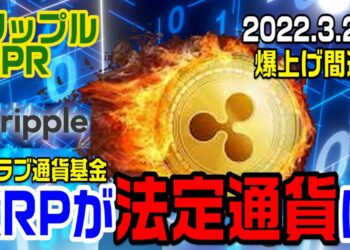 1648297903_maxresdefault-9657023-7283016-jpg