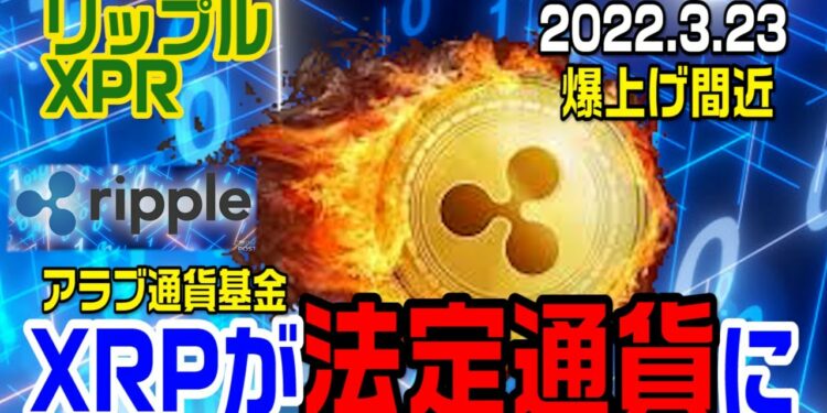 1648297903_maxresdefault-9657023-7283016-jpg