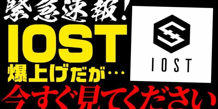 1648558256_maxresdefault-8241580-1757406-jpg