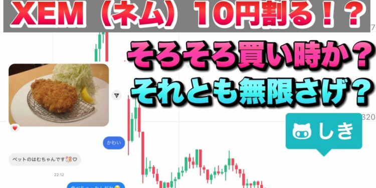 1649165097_maxresdefault-3977081-4089549-jpg