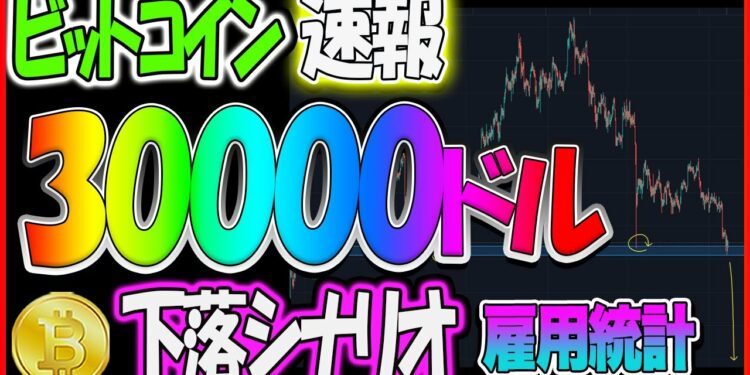 1650118735_maxresdefault-3882653-6980763-jpg