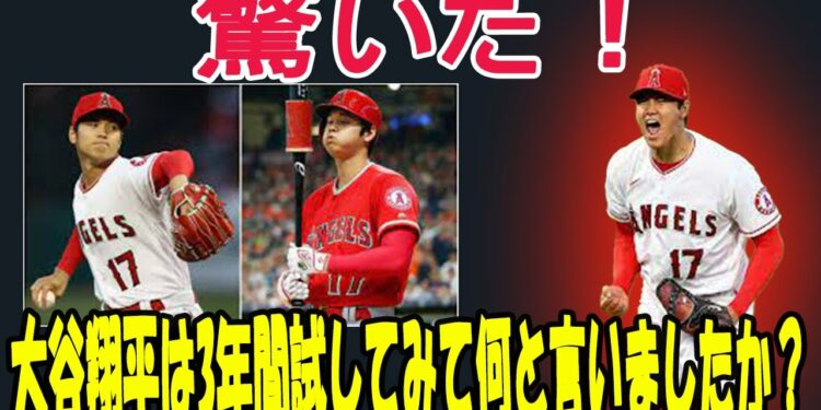 1650122628_maxresdefault-5392212-1224949-jpg