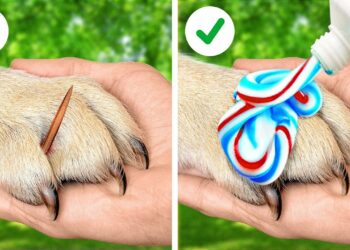 1650193858_maxresdefault-8277836-9603691-jpg