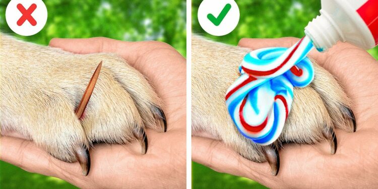 1650193858_maxresdefault-8277836-9603691-jpg