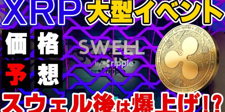 1650898183_maxresdefault-6718105-2820619-jpg