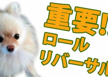 1653064458_maxresdefault-7932122-4102362-jpg