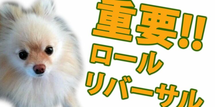 1653064458_maxresdefault-7932122-4102362-jpg