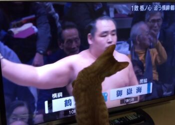 1653645404_maxresdefault-4556279-2312508-jpg