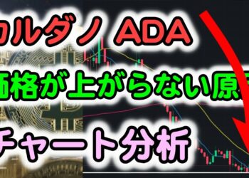 1653670864_maxresdefault-8033310-5466378-jpg