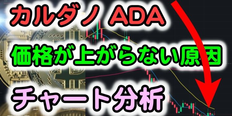 1653670864_maxresdefault-8033310-5466378-jpg