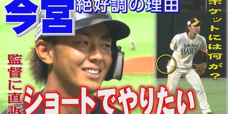 1653991731_maxresdefault-8508332-8116713-jpg