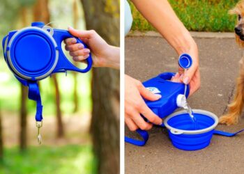 1654188349_maxresdefault-1956149-3383213-jpg