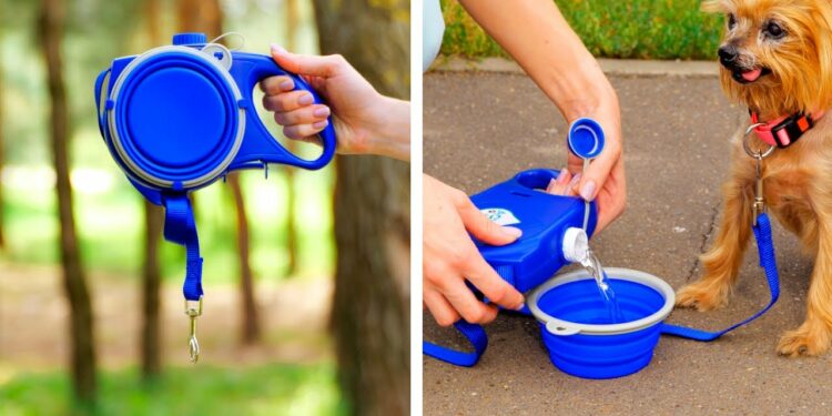 1654188349_maxresdefault-1956149-3383213-jpg