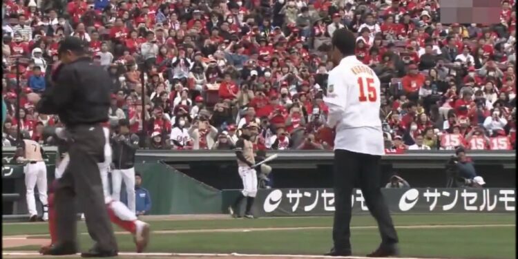 1654222554_maxresdefault-6738754-6036825-jpg