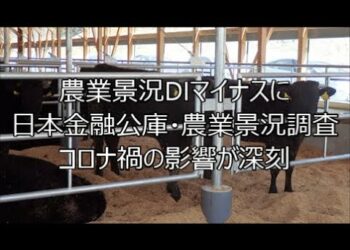 1654396194_hqdefault-9638272-6838465-jpg