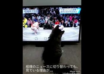 1654857586_hqdefault-3891656-4836909-jpg