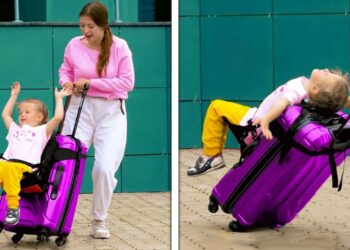 1655032367_maxresdefault-5431291-8380617-jpg