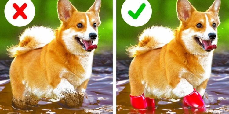 1655519444_maxresdefault-8945818-4003745-jpg