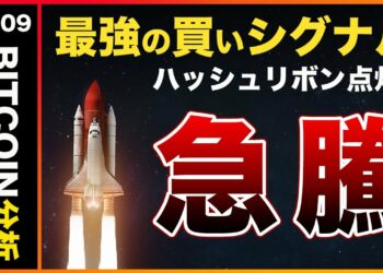 1655806791_maxresdefault-3206090-2965760-jpg