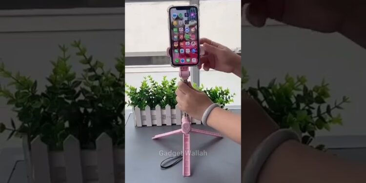 1656363461_maxresdefault-5993014-4952963-jpg