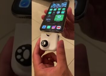 1656525778_maxresdefault-6918678-8528448-jpg