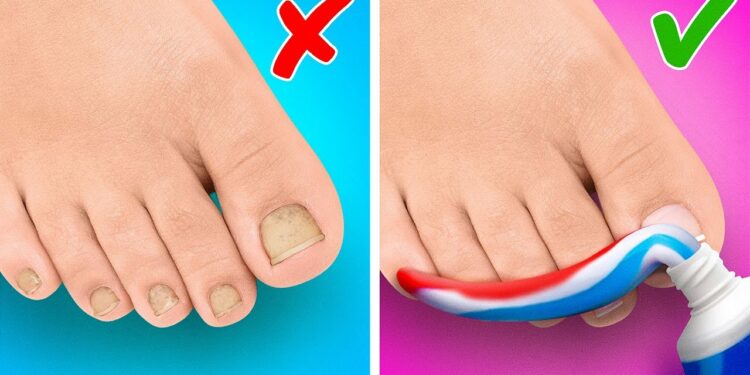 1656882887_maxresdefault-1078597-9653730-jpg