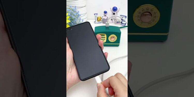 1656947816_maxresdefault-7165368-8313523-jpg