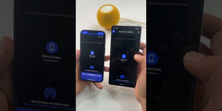 1657532161_maxresdefault-6428454-8079245-jpg