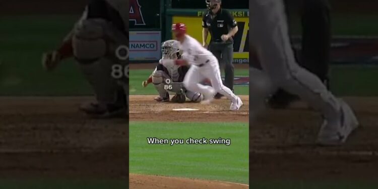 1657541985_maxresdefault-6736835-5505839-jpg