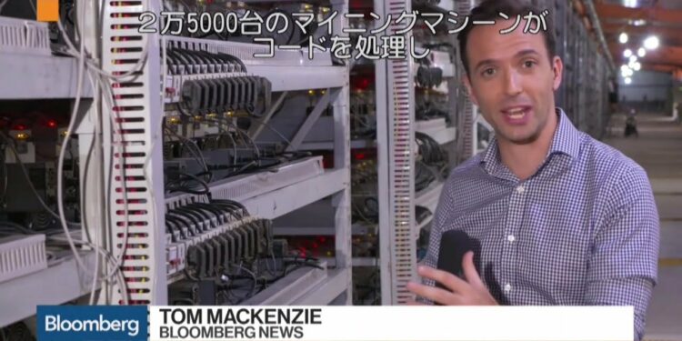 1657711845_maxresdefault-5964326-6999184-jpg