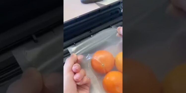 1657856875_maxresdefault-8875489-3703570-jpg