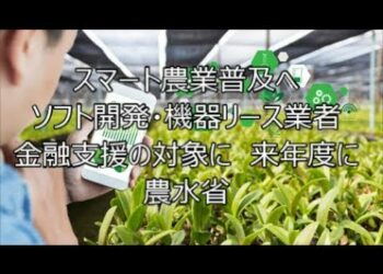 1658116533_hqdefault-9554123-3566457-jpg