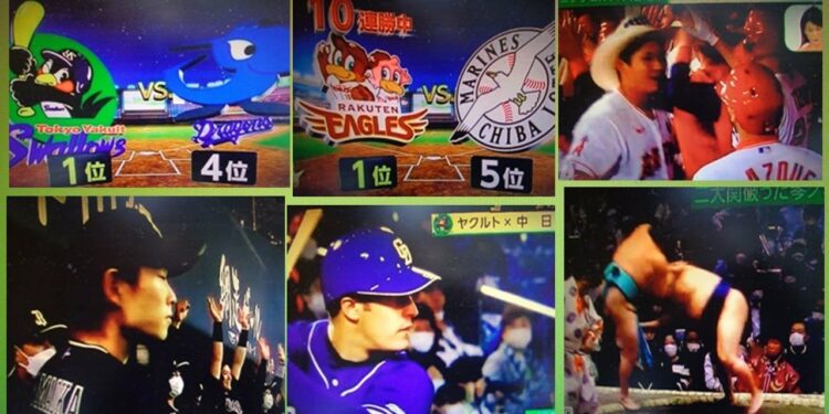 1658580945_maxresdefault-3555523-1349218-jpg